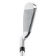 ACER - XV "Standard" (Gaucher)